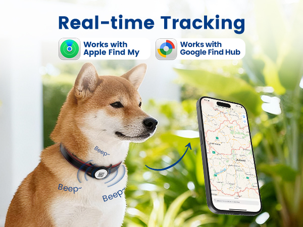dog tracker