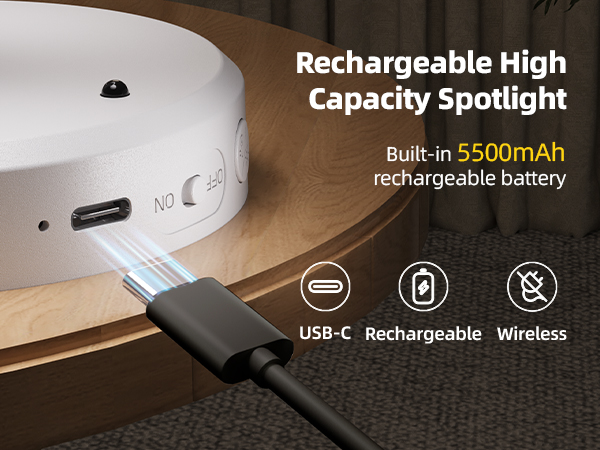 Rechargeable battery plant spotlight indoor