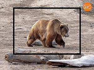 hunting night vision