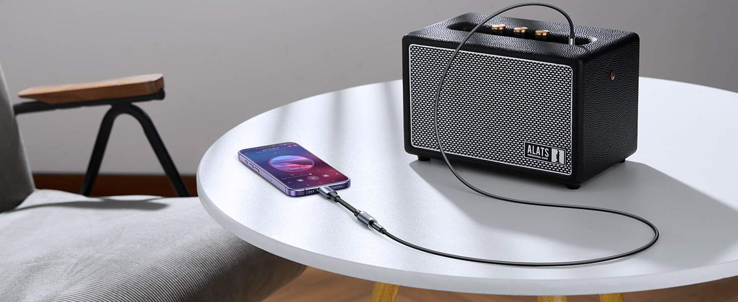 iPhone to Speaker/Amp