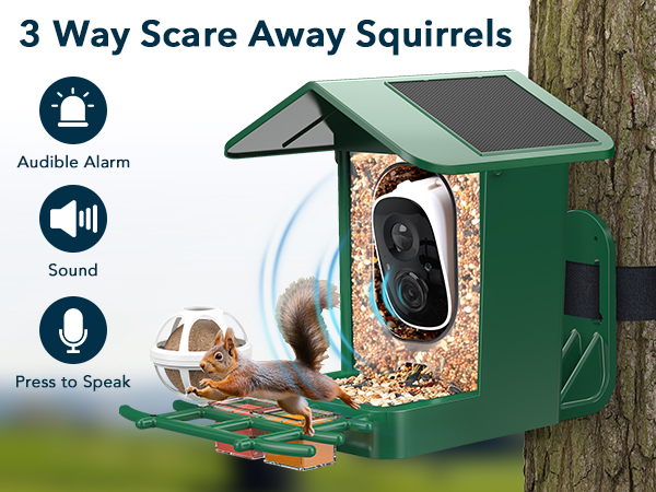 camera bird feeders for outside solar