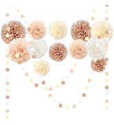 NICROHOME EUR Wedding Party Decorations Set, 15 PCS Ivory White Tissue Paper Pom Poms, Dots Paper...