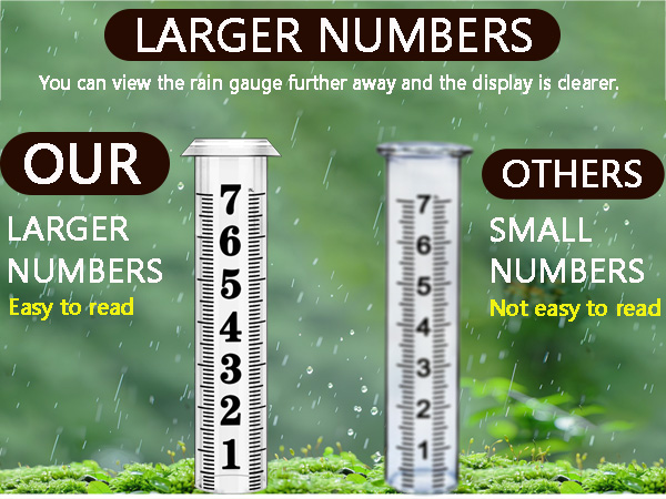 Rain Gauge
