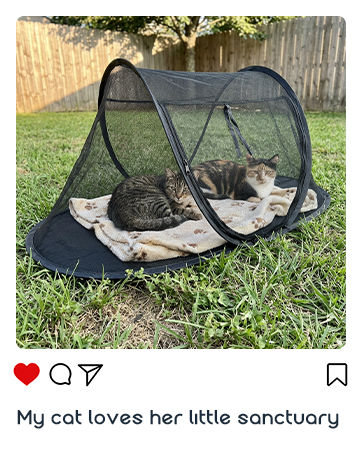 cat tent