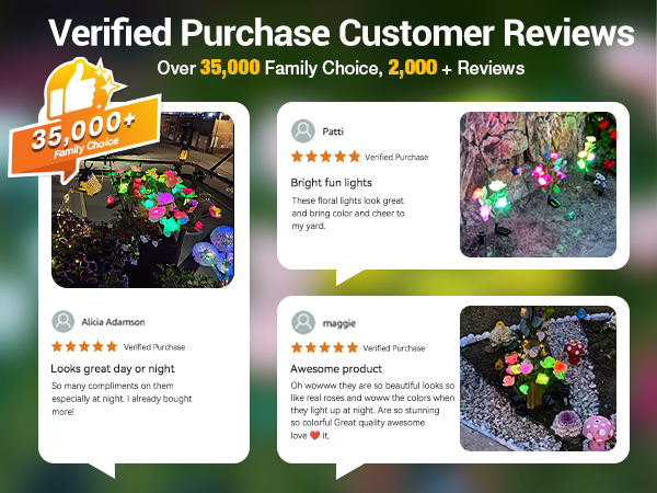 solar outdoor lights