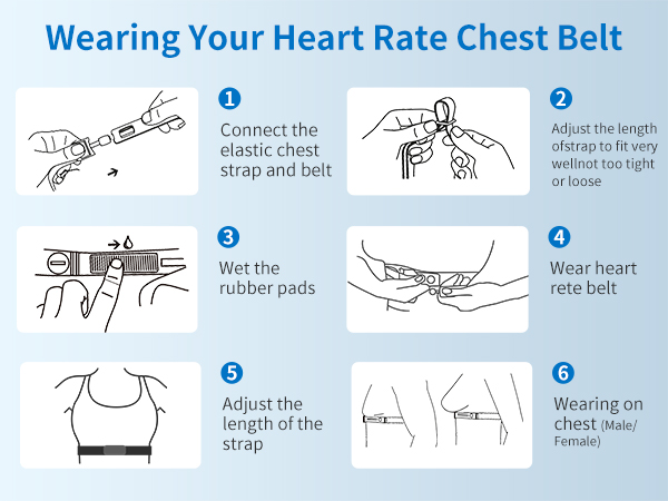heart rate monitor