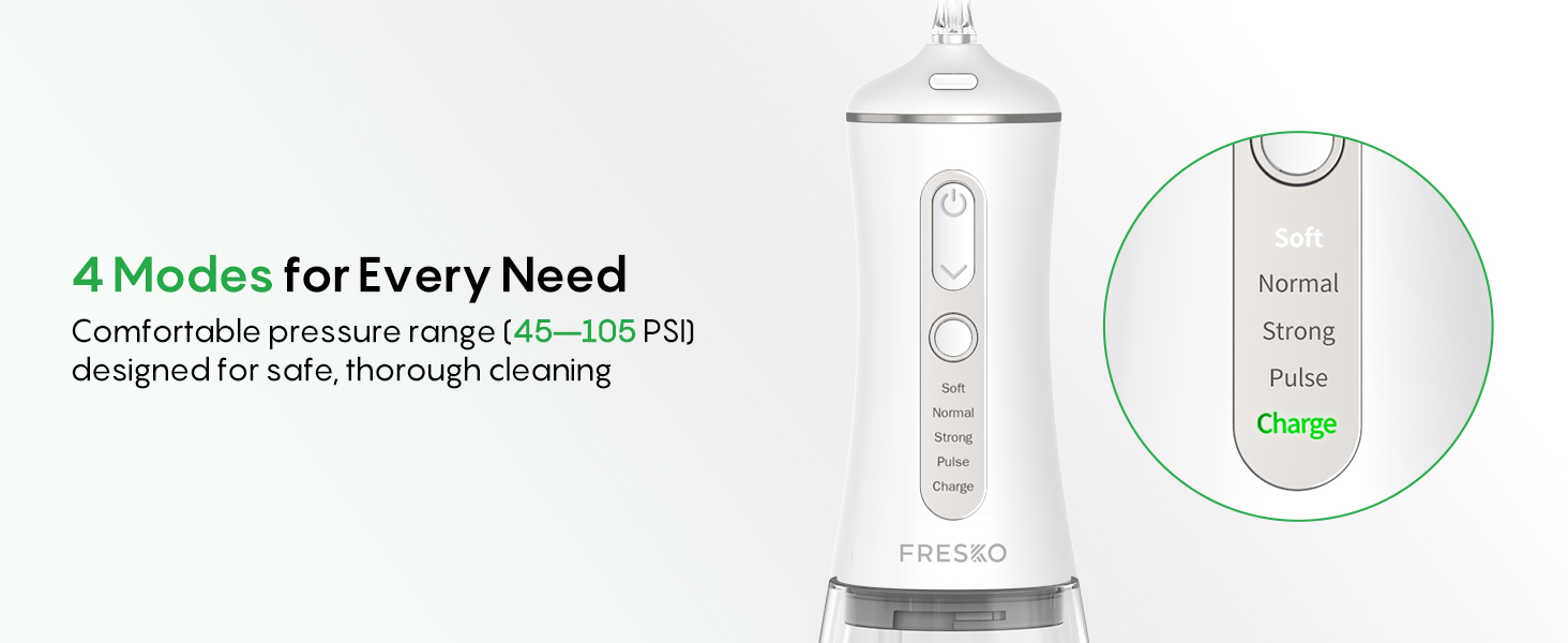 Water Dental Flosser