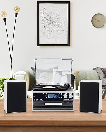 10 in 1 Record Player