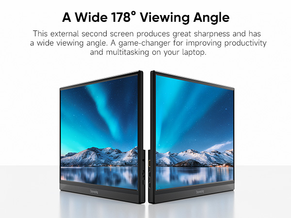 portable laptop monitor