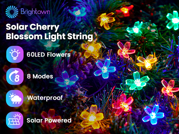 Solar String Lights for Outside