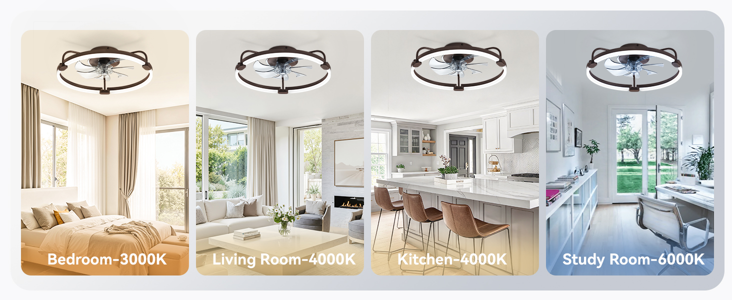 modern ceiling fan with light