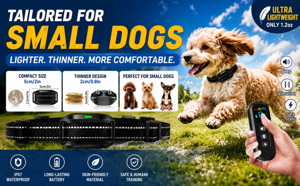 shock cllar for small dogs-7