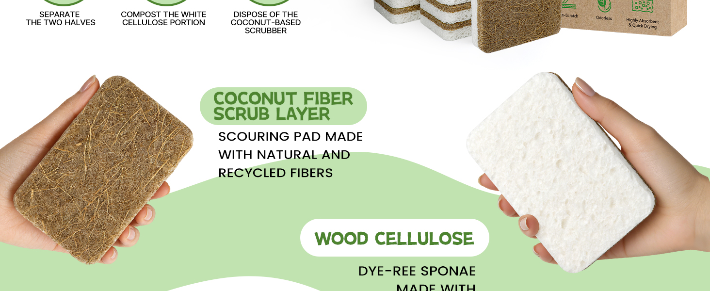 Kitchen Sponge