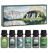 SALUBRITO Essential Oils Set, Nature Fragrance Oils Set - Forest Pine, Ocean Breeze, Rain, Fresh ...