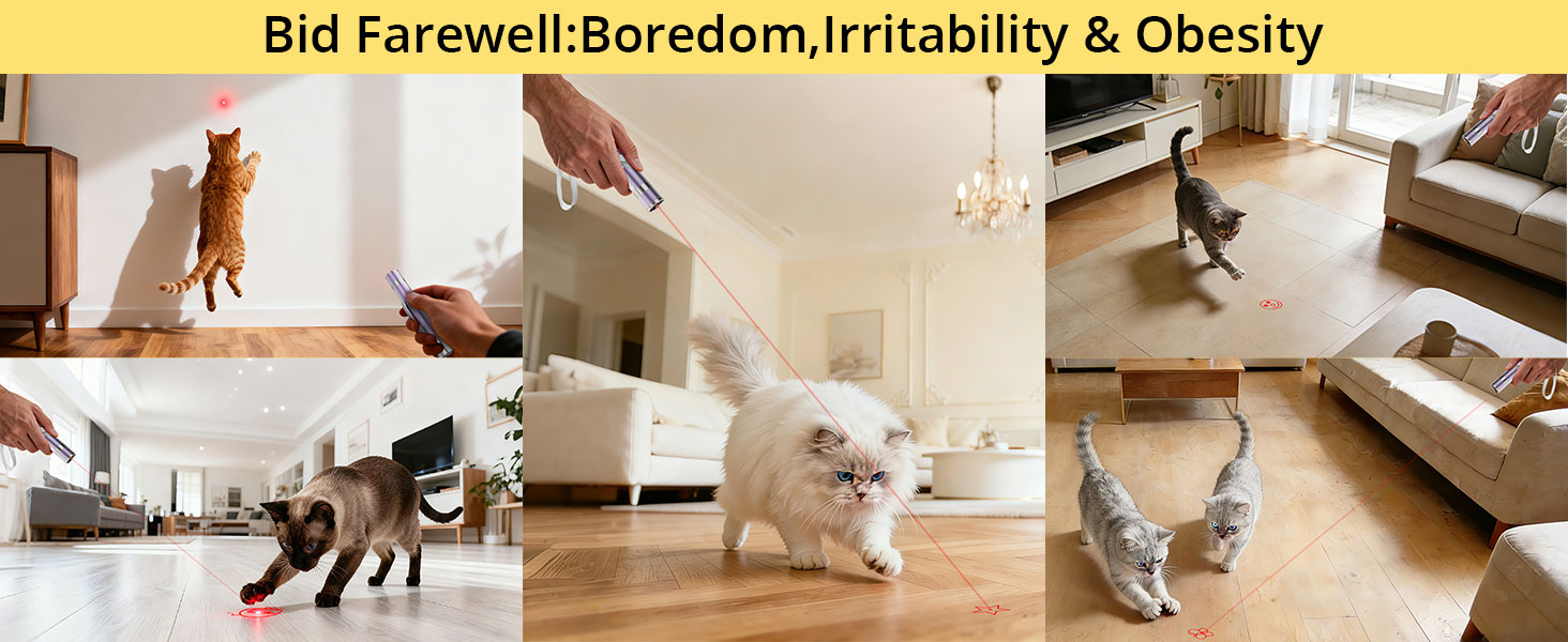 interactive cat toy