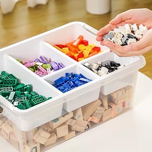 5-Section Organizer