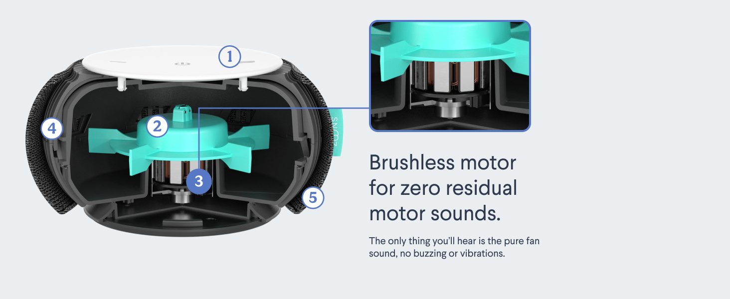 Brushless motor for zero residual motor sounds