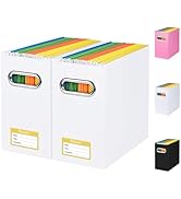BALEINE File Organizer, File Box with Handle, Cardboard File Folder Organizer, Collapsible Hangin...