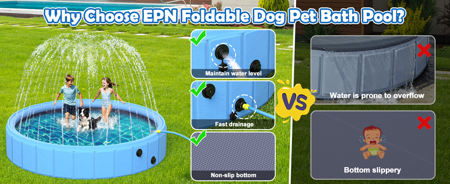 dog pool