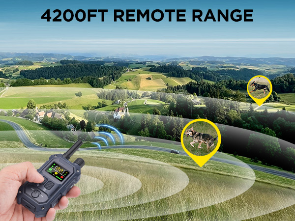 dog shock collar with remote