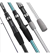 Travel Fishing Rod 4 Pieces Spinning Casting Rod Medium Light Carbon Fiber Stainless Steel Guides...