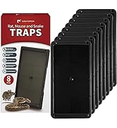 LULUCATCH Super Glue Traps 8 Pack for Mice &amp; Snakes, Larger, Heavier Sticky Traps with Non-Toxic ...