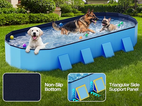 Dog Pool