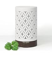 Earnest Living Essential Oil Diffuser for Home White Ceramic 100ml Aromatherapy Diffuser with 4 T...