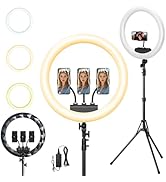 Ring Light with Stand and Phone Holder, 19" Ring Light Tripod for iPhone, Professional LED Circle...