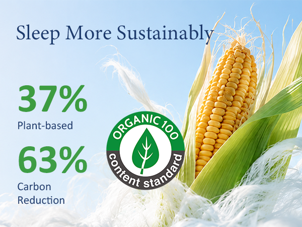 Sleep More Sustainably
