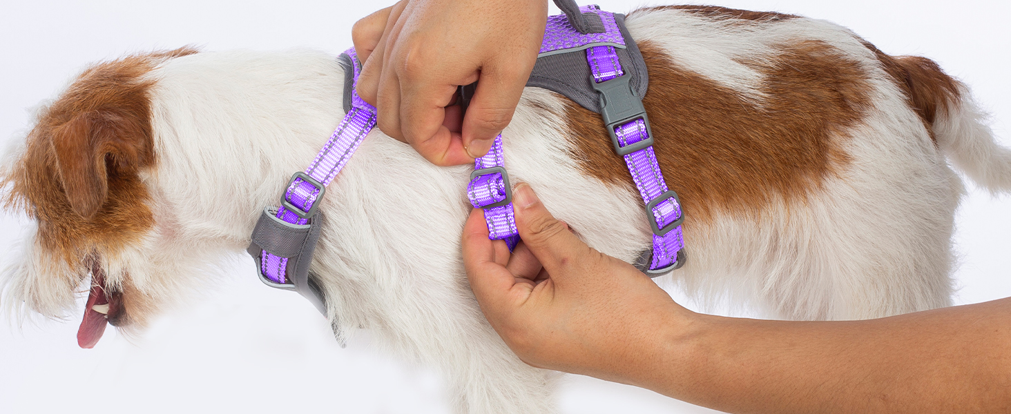 dog harness with handle 