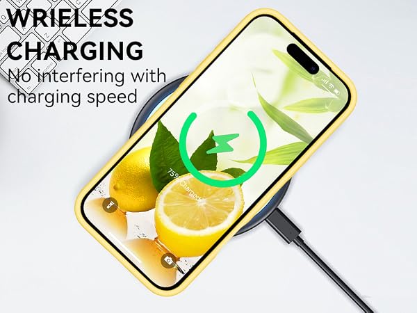 iphone 17 pro max case
