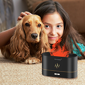 the smart home pet box