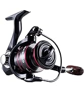 BX Spinning Fishing Reel 5.2:1 Gear Ratio Saltwater 1000/2000/3000/4000/5000/6000 Series Fishing ...