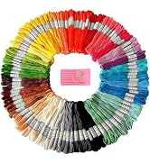 Premium Rainbow Color Embroidery Floss - Cross Stitch Threads - Friendship Bracelets Floss - Craf...