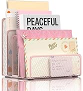 ReePlan Mail Organizer Countertop with 5 Slot, Metal Mail Holder for Desk, File Holder Letter Sor...