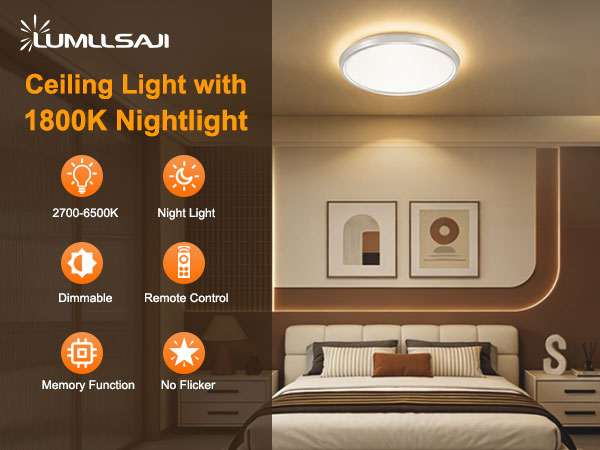 ceiling light