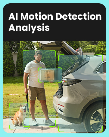 AI Detection analysis