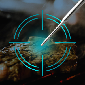 11050 Cooking Grilling Meat Thermometer Temperature Restaurant Food