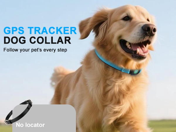 gps dog collar