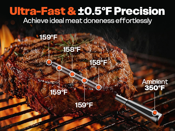 meat thermometer wireless