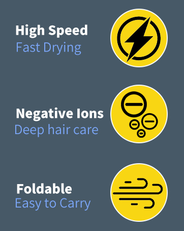 Professional Hair Dryer