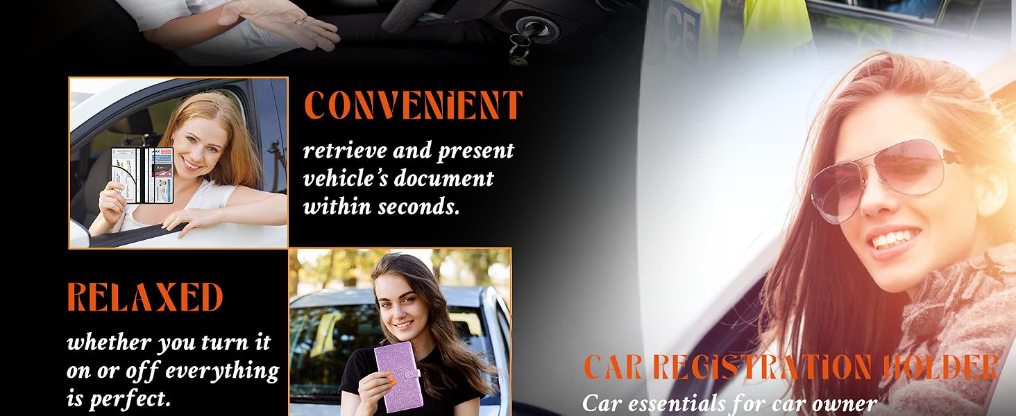 car registration and insurance holder