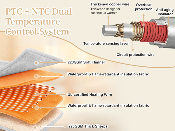 PTC + NTC Dual Temperature Control System