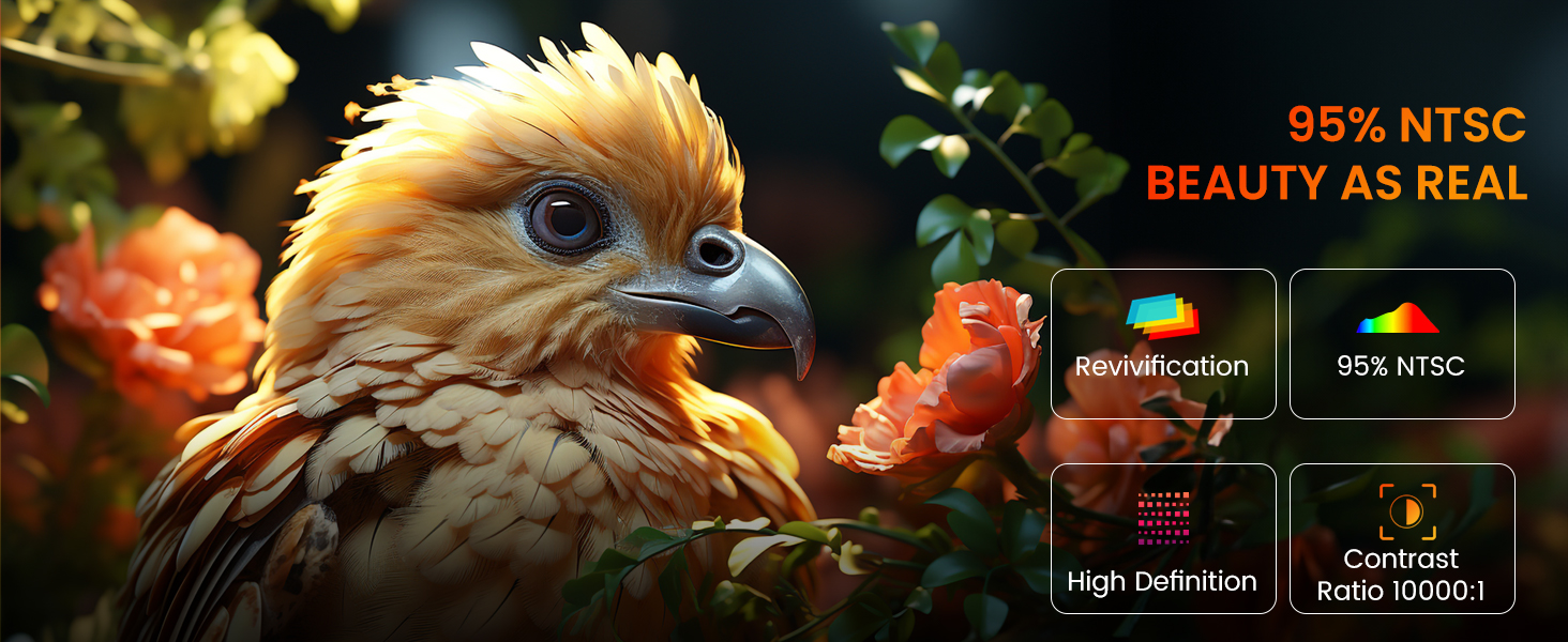 projector with wifi and bluetooth