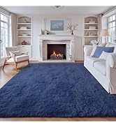 6x9 Area Rug for Living Room: Fluffy Shag Soft Washable Rugs Large Fuzzy Plush Indoor Carpet for ...