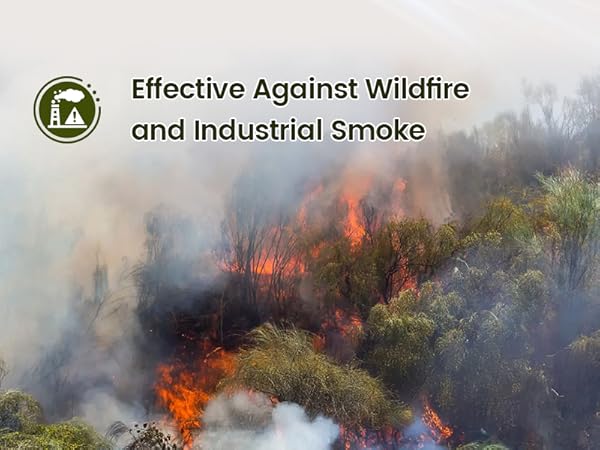 Air purifiers for home