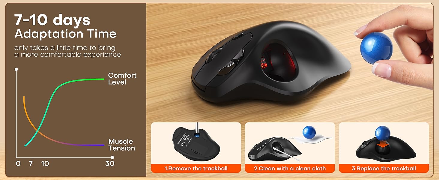 7-10 Days Adaptation Time