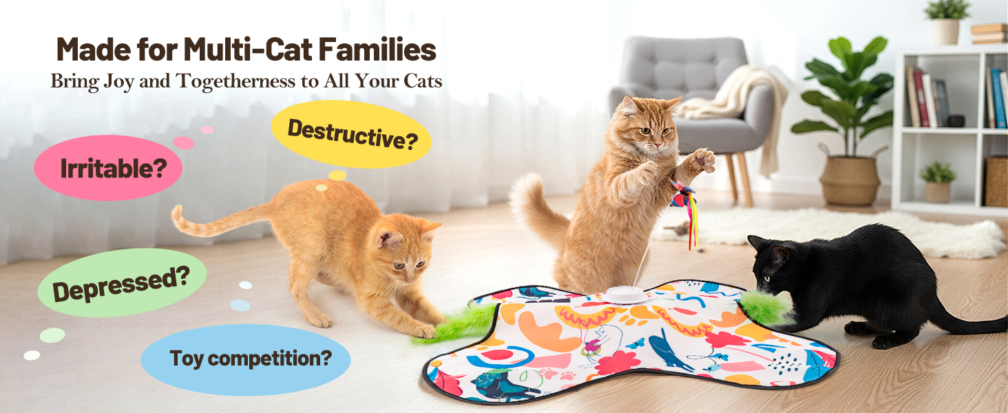 cat toys interactive