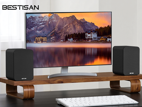 Powered bookshelf speaker